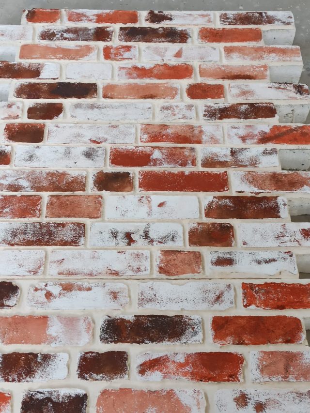 Termosisteme pentru fatade Techstone Ameland 2